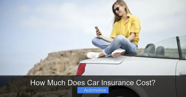 How Much Does Car Insurance Cost?
