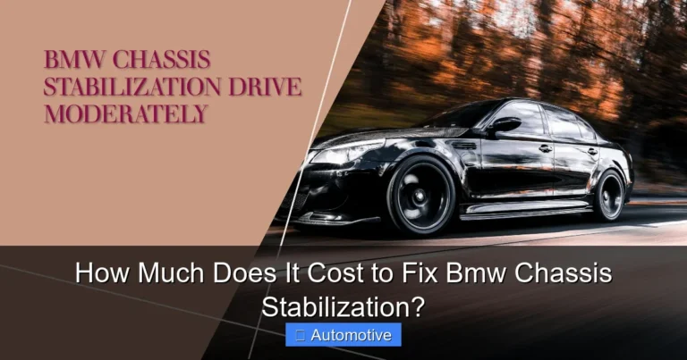 How Much Does It Cost to Fix Bmw Chassis Stabilization?