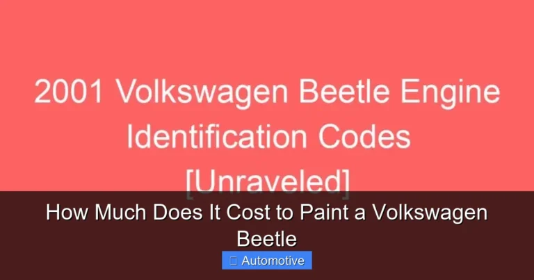 How Much Does It Cost to Paint a Volkswagen Beetle