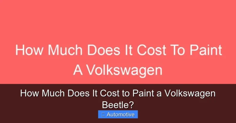 How Much Does It Cost to Paint a Volkswagen Beetle?