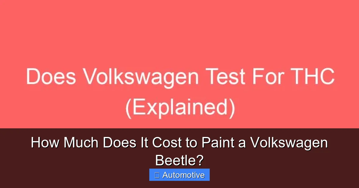 How Much Does It Cost to Paint a Volkswagen Beetle?