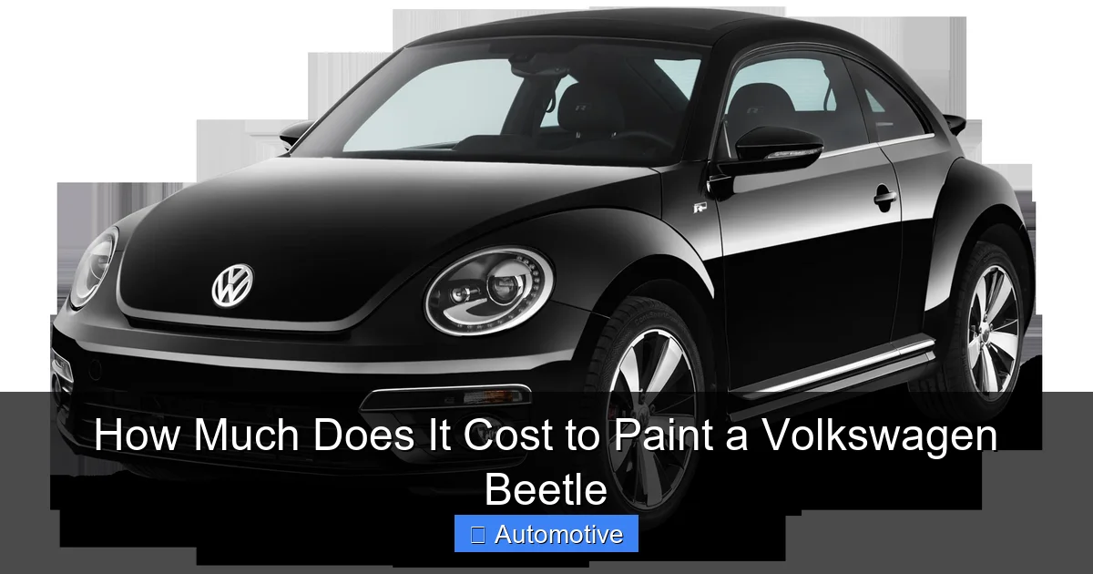 How Much Does It Cost to Paint a Volkswagen Beetle