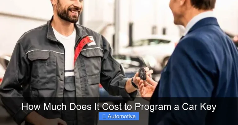 How Much Does It Cost to Program a Car Key