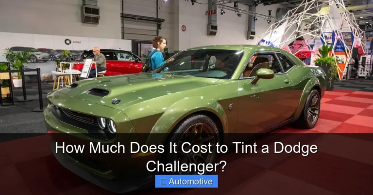 How Much Does It Cost to Tint a Dodge Challenger?