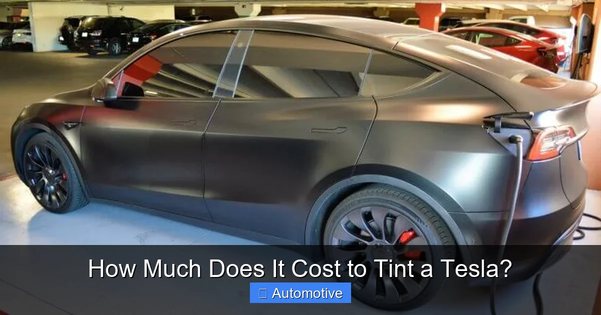 How Much Does It Cost to Tint a Tesla?
