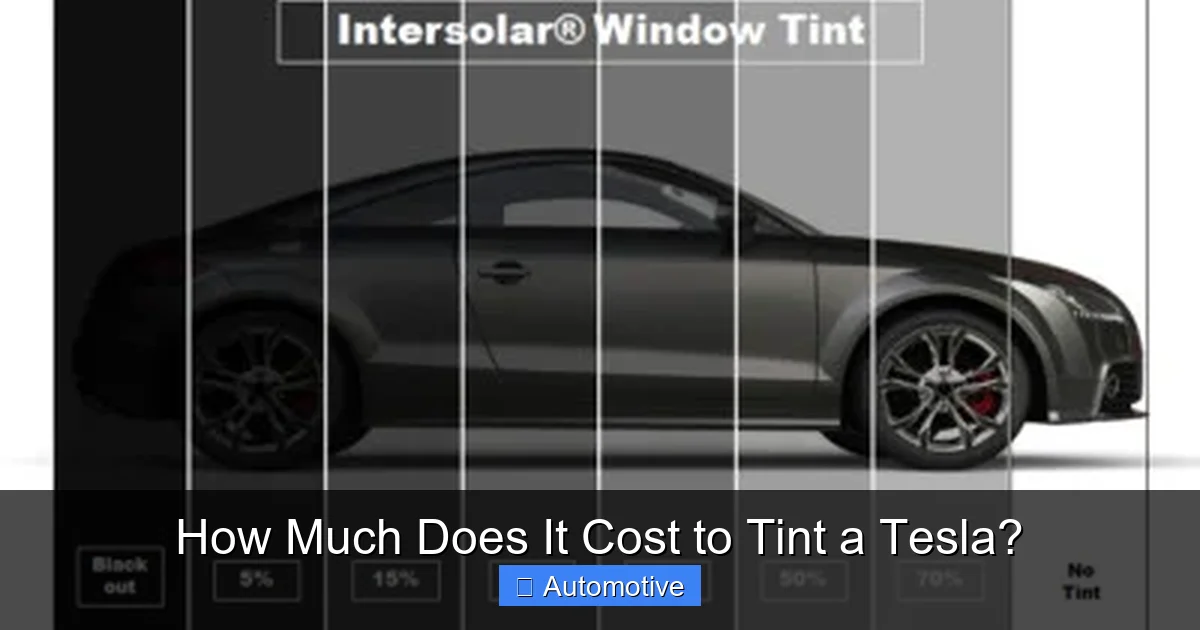 How Much Does It Cost to Tint a Tesla?