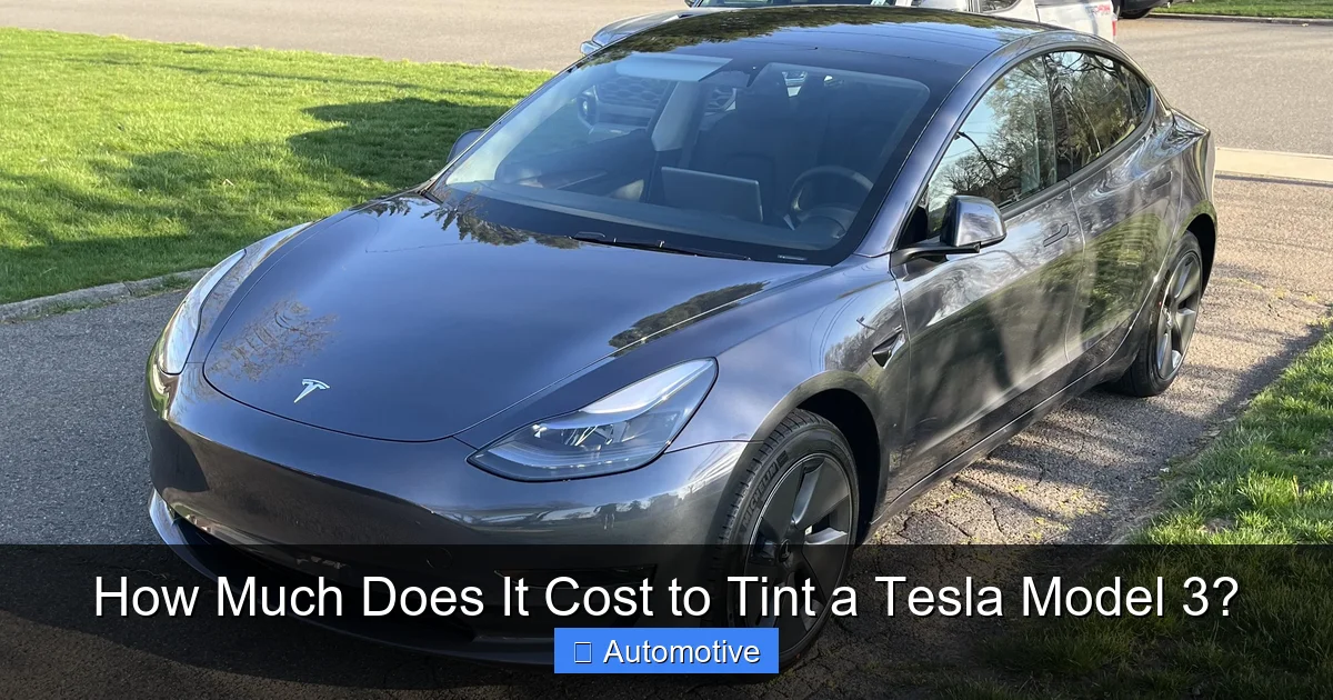 How Much Does It Cost to Tint a Tesla Model 3?