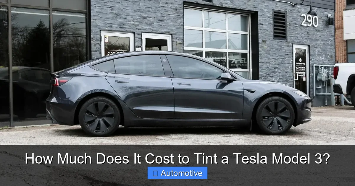 How Much Does It Cost to Tint a Tesla Model 3?