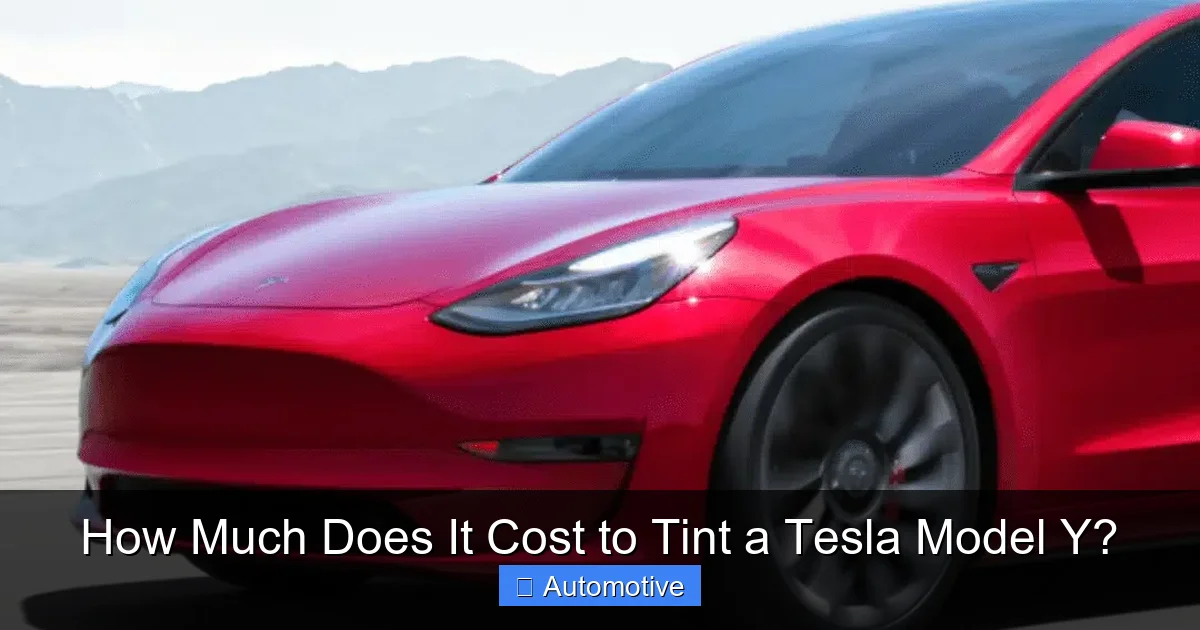 How Much Does It Cost to Tint a Tesla Model Y?