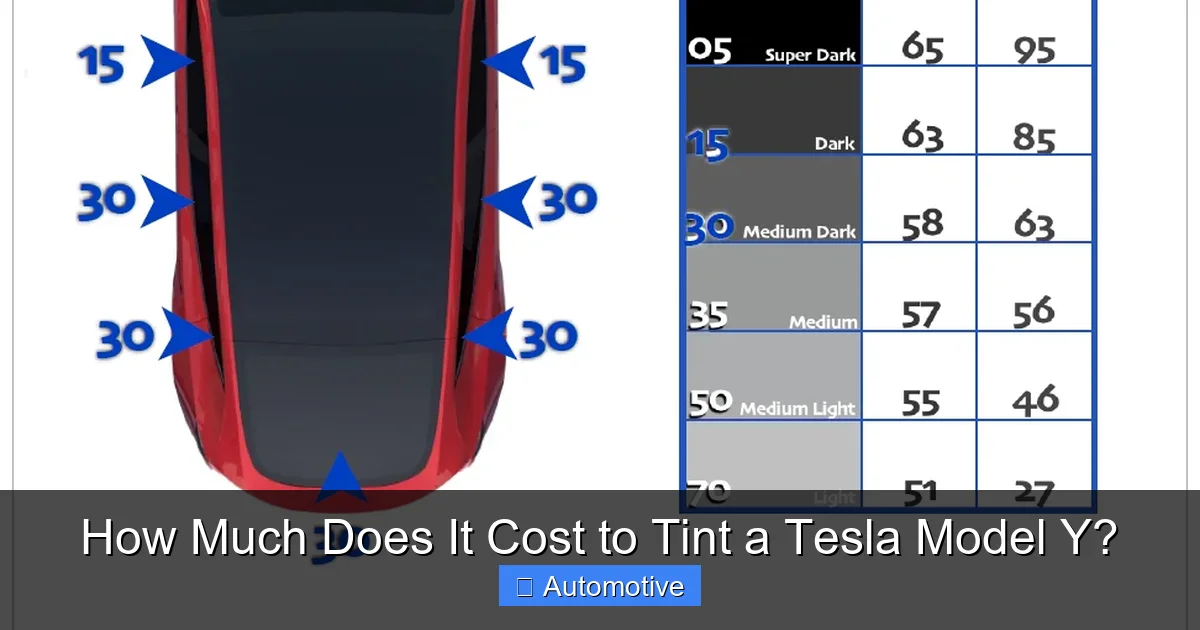 How Much Does It Cost to Tint a Tesla Model Y?
