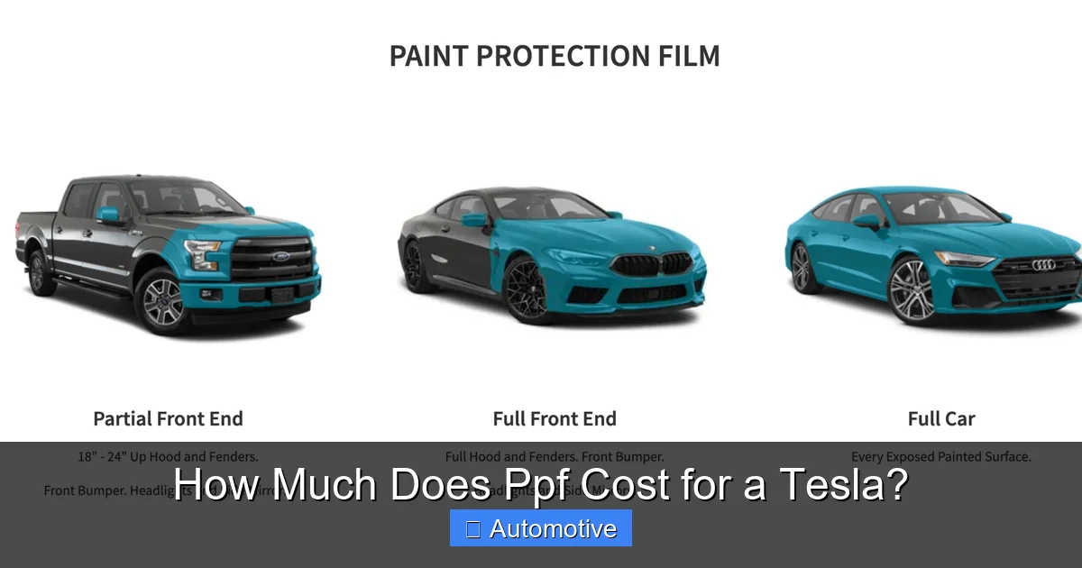 How Much Does Ppf Cost for a Tesla?