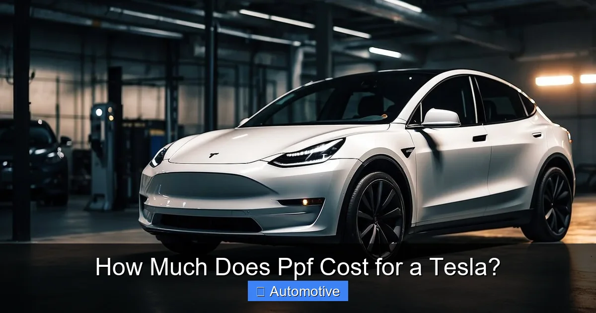How Much Does Ppf Cost for a Tesla?