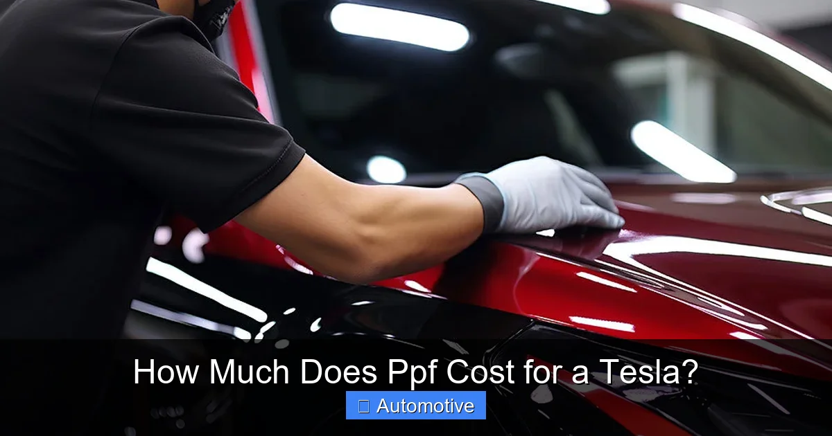 How Much Does Ppf Cost for a Tesla?