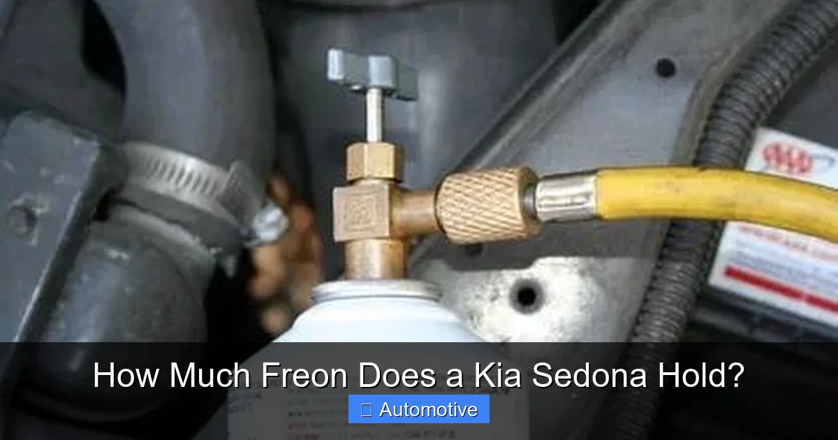 How Much Freon Does a Kia Sedona Hold?