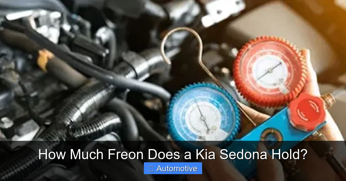 How Much Freon Does a Kia Sedona Hold?
