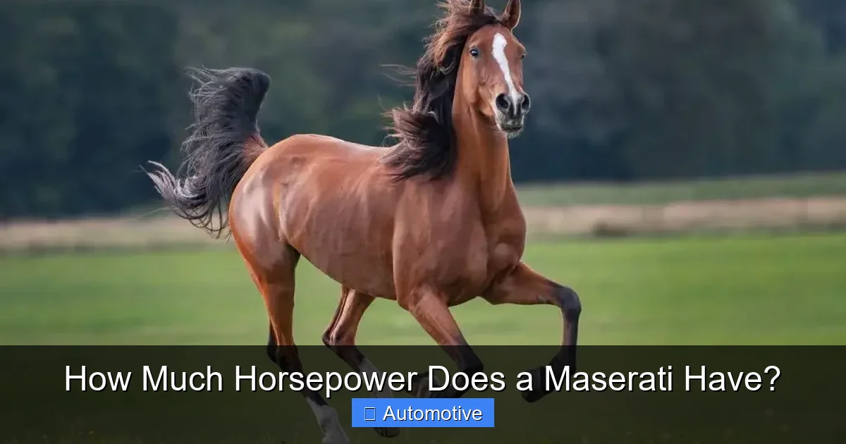 How Much Horsepower Does a Maserati Have?