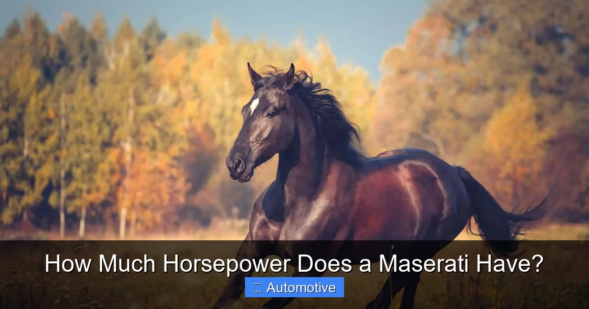 How Much Horsepower Does a Maserati Have?