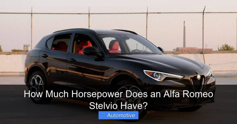 How Much Horsepower Does an Alfa Romeo Stelvio Have?
