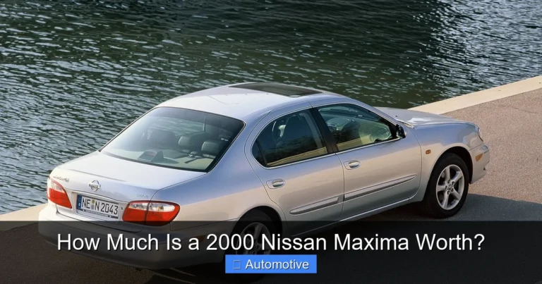 How Much Is a 2000 Nissan Maxima Worth?