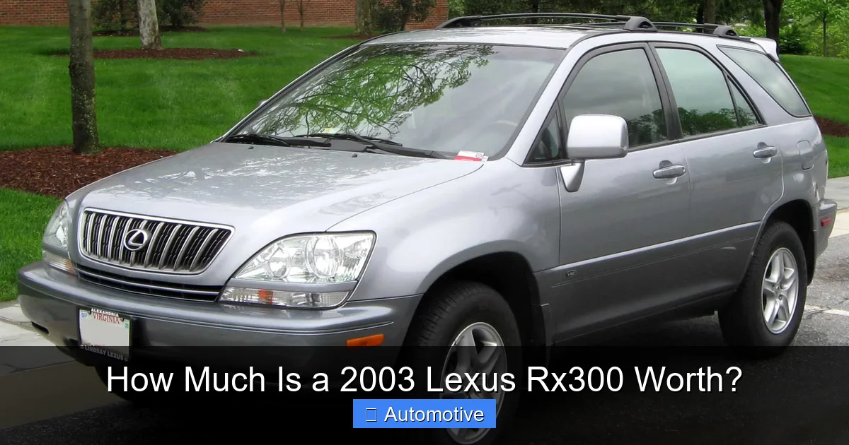 How Much Is a 2003 Lexus Rx300 Worth?