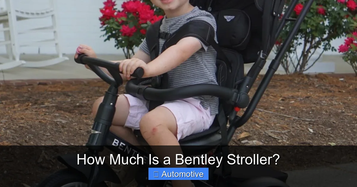 How Much Is a Bentley Stroller?