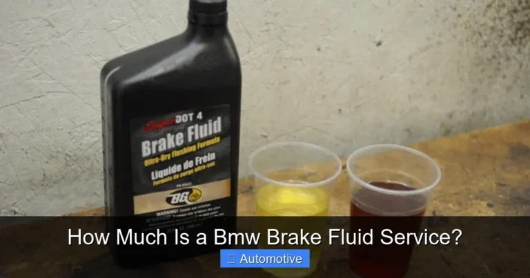 How Much Is a Bmw Brake Fluid Service?