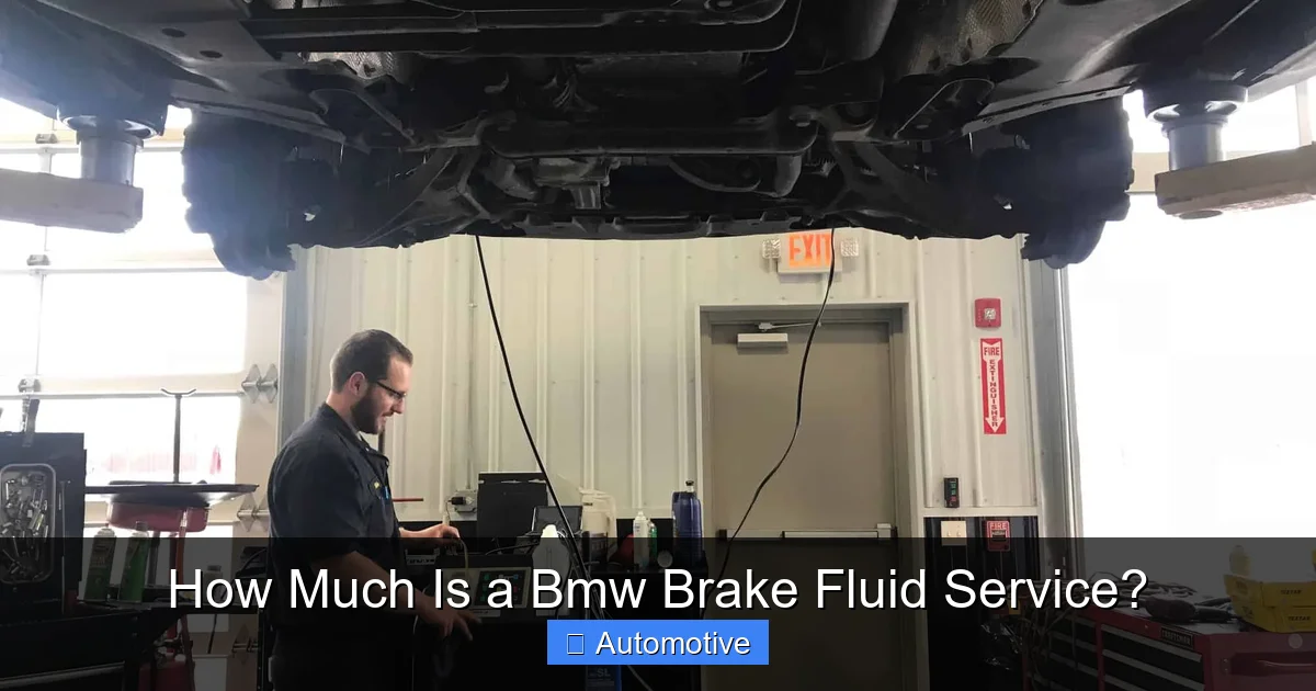 How Much Is a Bmw Brake Fluid Service?