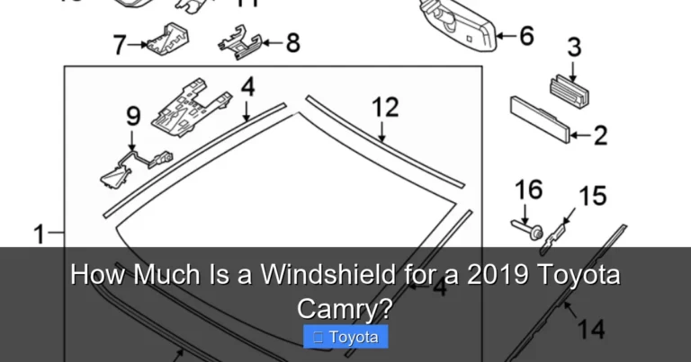 How Much Is a Windshield for a 2019 Toyota Camry?