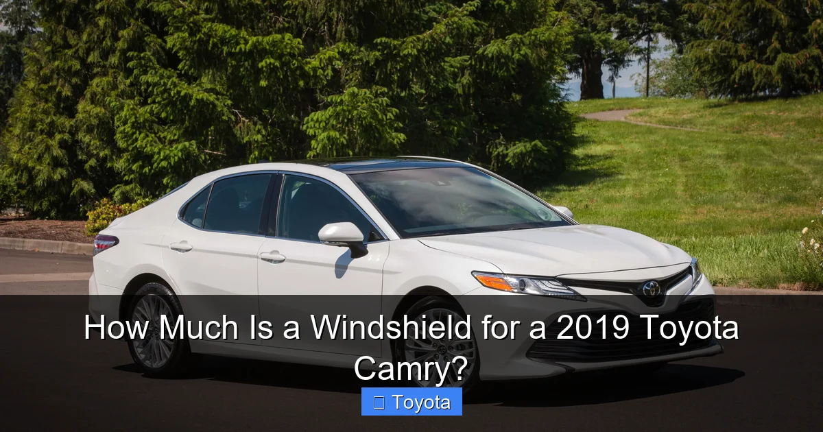 How Much Is a Windshield for a 2019 Toyota Camry?