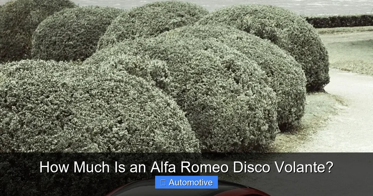 How Much Is an Alfa Romeo Disco Volante?