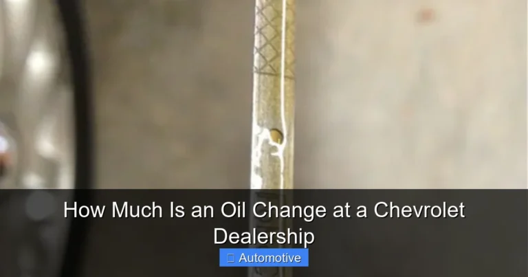 How Much Is an Oil Change at a Chevrolet Dealership