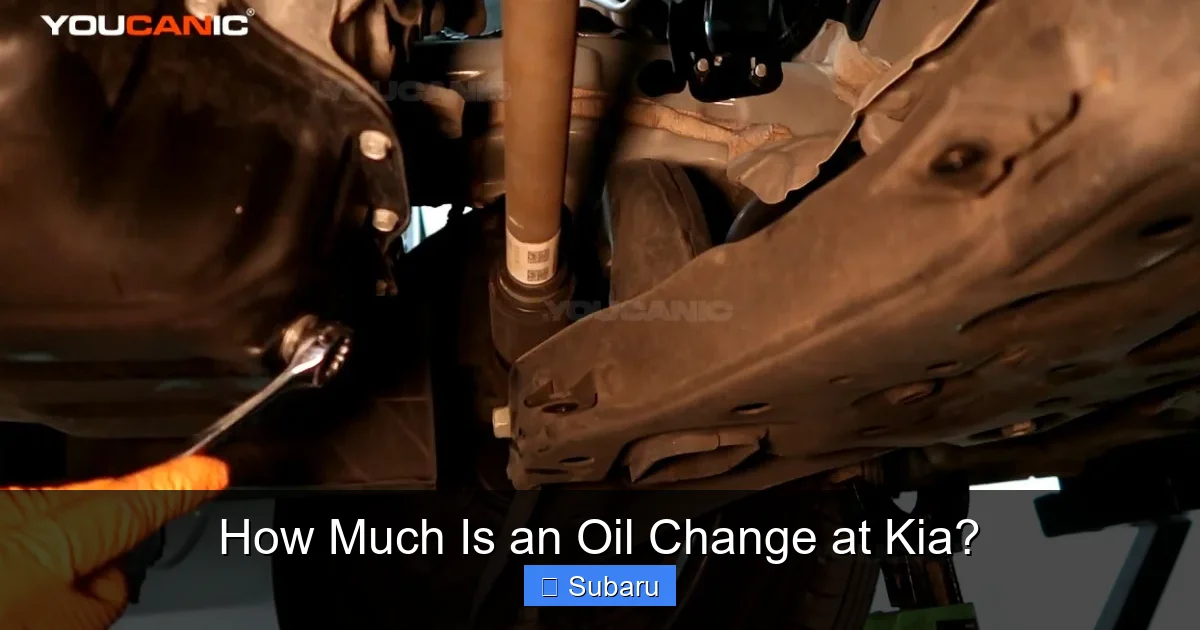 How Much Is an Oil Change at Kia?