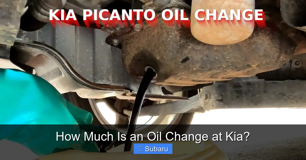 How Much Is an Oil Change at Kia?