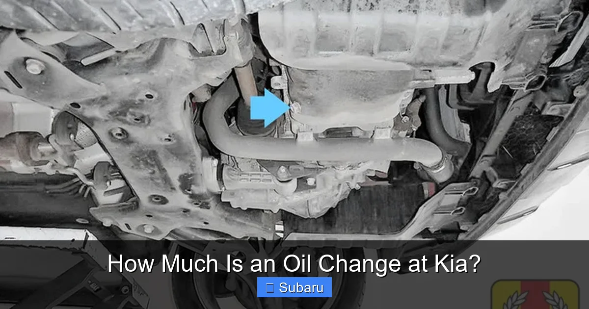 How Much Is an Oil Change at Kia?
