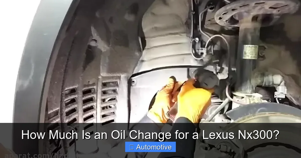 How Much Is an Oil Change for a Lexus Nx300?