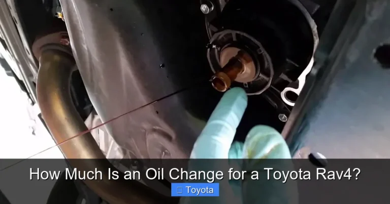 How Much Is an Oil Change for a Toyota Rav4?