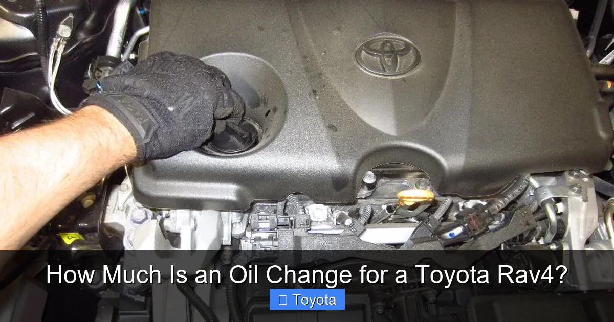 How Much Is an Oil Change for a Toyota Rav4?