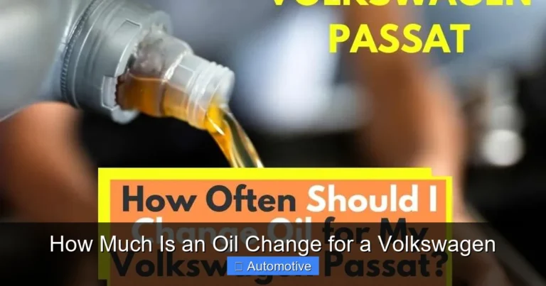 How Much Is an Oil Change for a Volkswagen