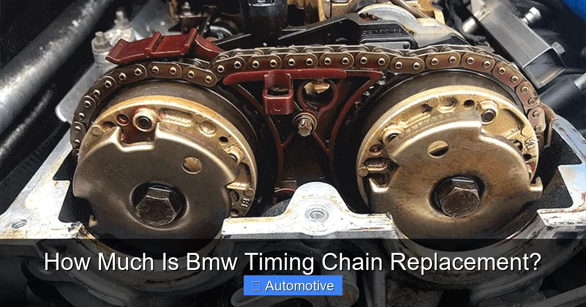 How Much Is Bmw Timing Chain Replacement?