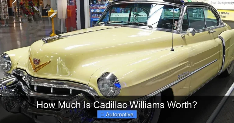 How Much Is Cadillac Williams Worth?