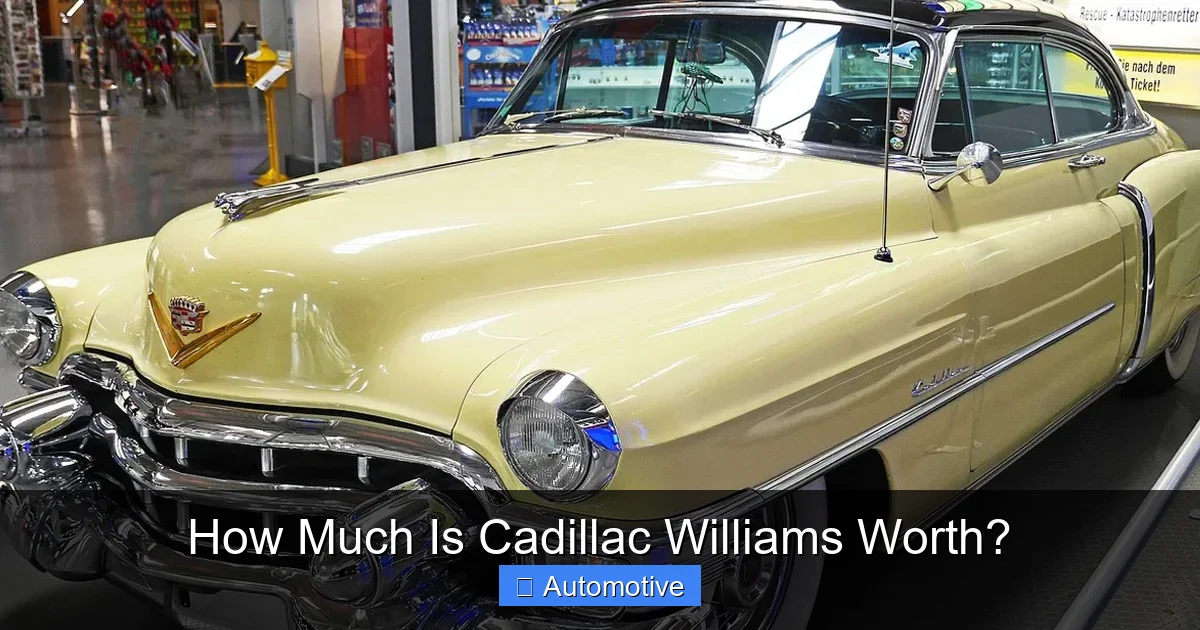 How Much Is Cadillac Williams Worth?