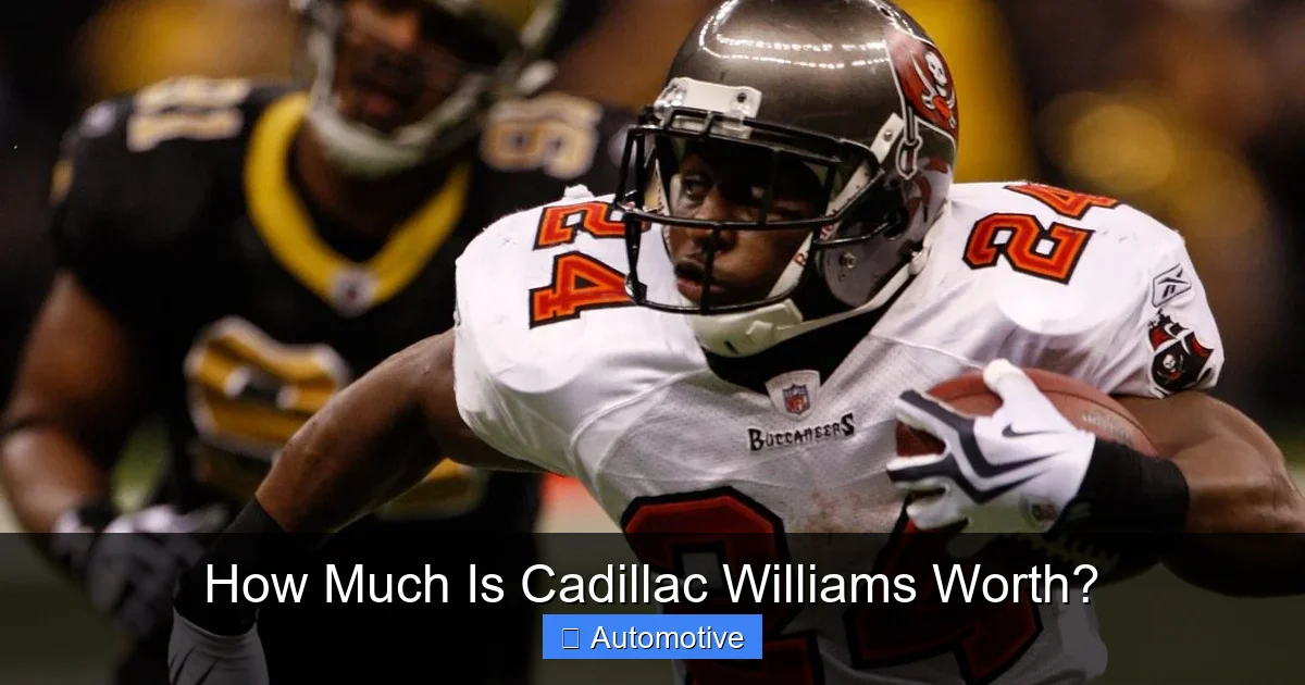 How Much Is Cadillac Williams Worth?