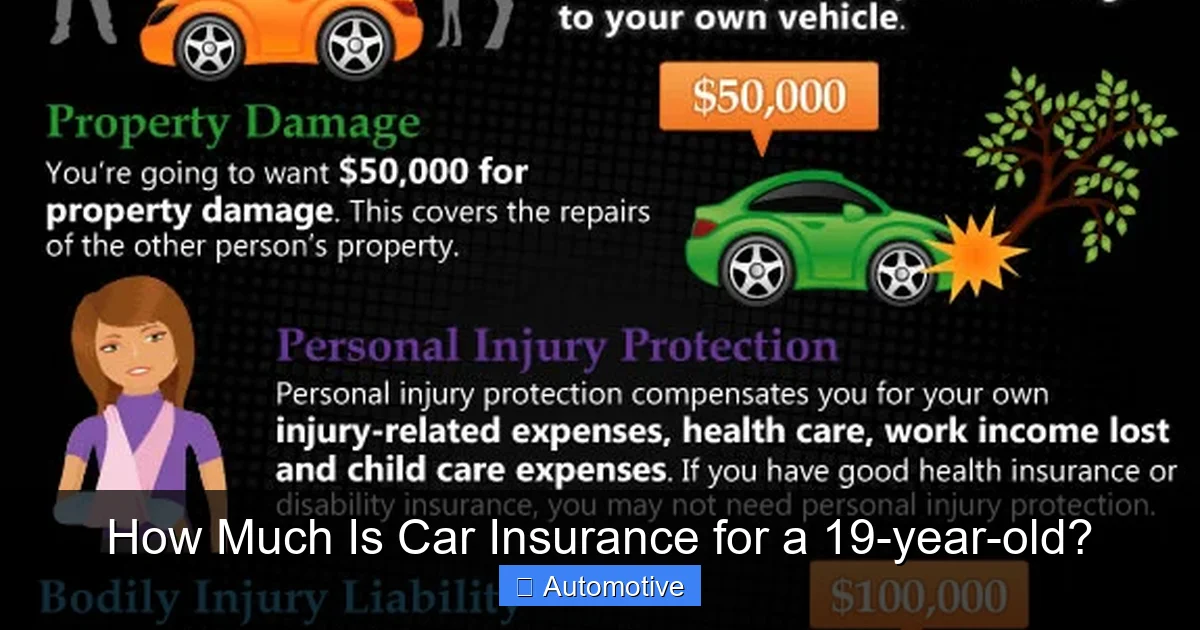How Much Is Car Insurance for a 19-year-old?