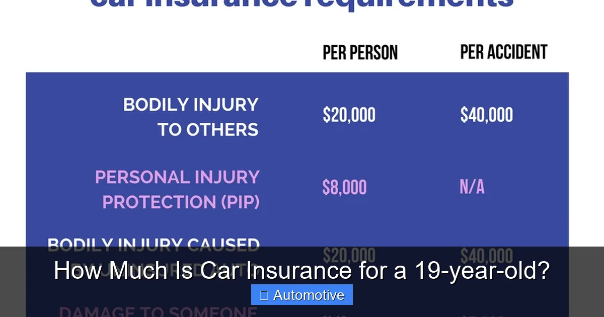How Much Is Car Insurance for a 19-year-old?