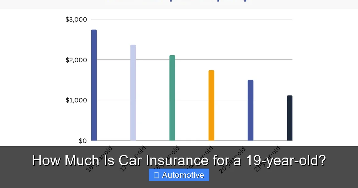 How Much Is Car Insurance for a 19-year-old?