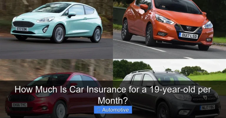 How Much Is Car Insurance for a 19-year-old per Month?