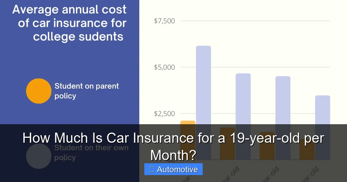 How Much Is Car Insurance for a 19-year-old per Month?