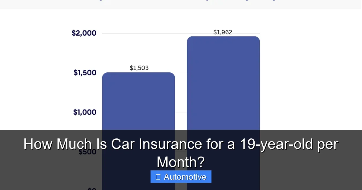 How Much Is Car Insurance for a 19-year-old per Month?