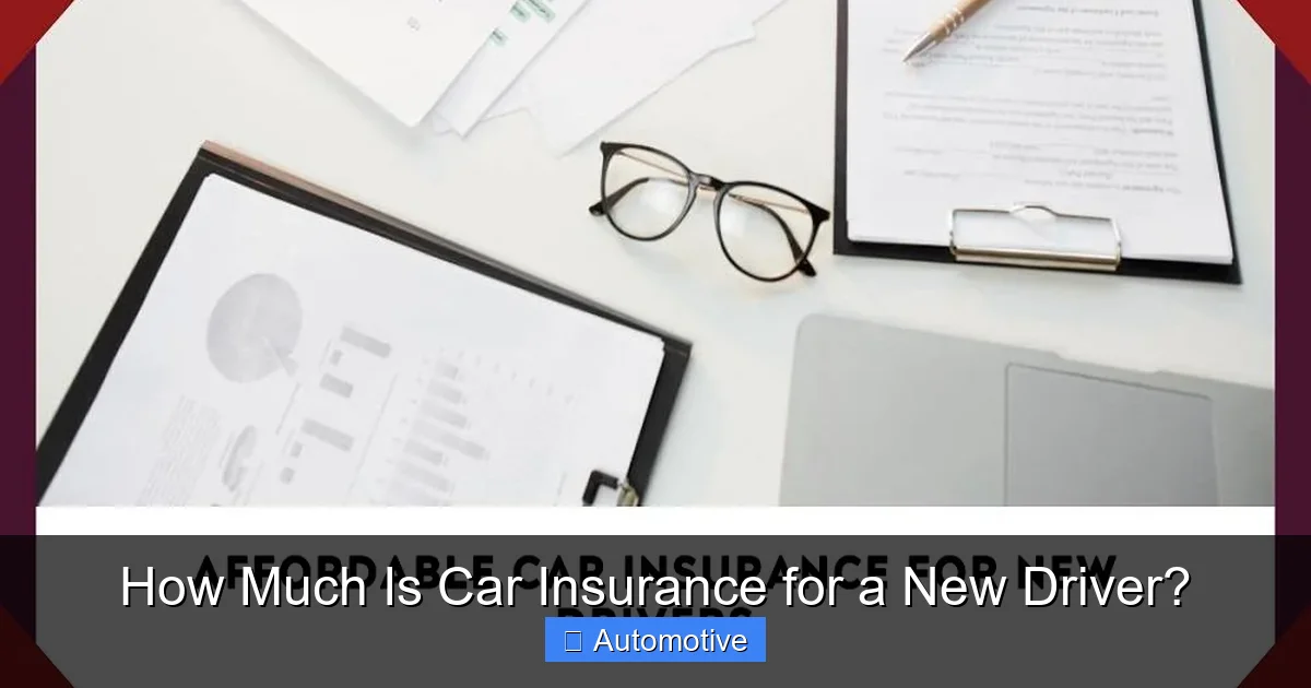 How Much Is Car Insurance for a New Driver?