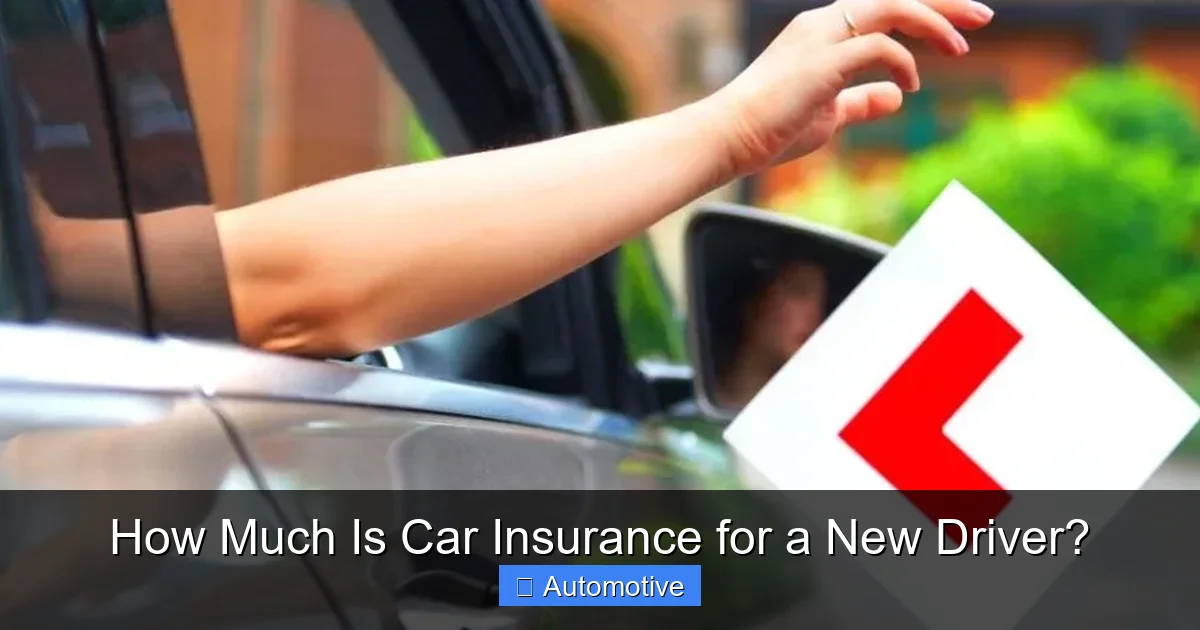 How Much Is Car Insurance for a New Driver?